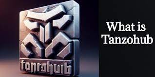 Tanzohub